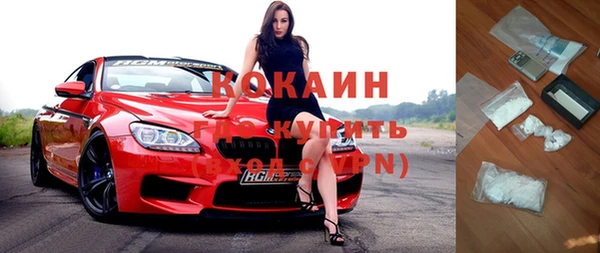 ГАЛЛЮЦИНОГЕННЫЕ ГРИБЫ Пересвет