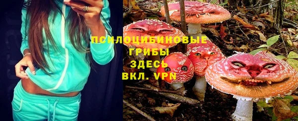 дмт Алзамай