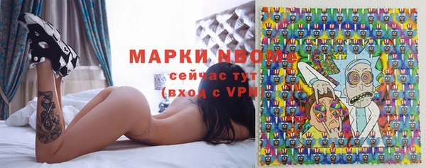 дмт Алзамай