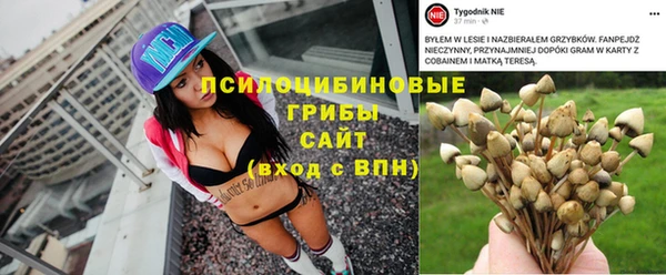 дмт Алзамай